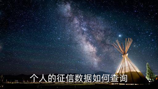 个人的征信数据如何查询