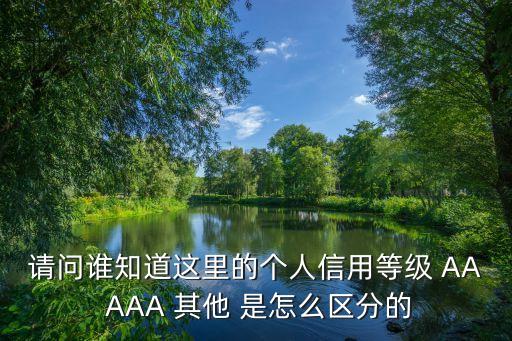 请问谁知道这里的个人信用等级 AA AAA 其他 是怎么区分的