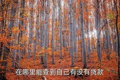 在哪里能查到自己有没有贷款