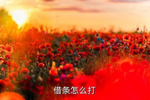 借条怎么打