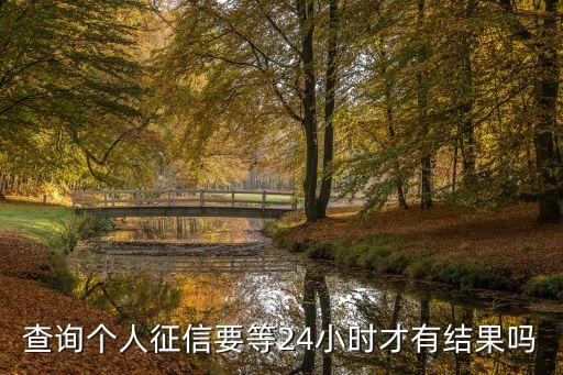 查询个人征信要等24小时才有结果吗