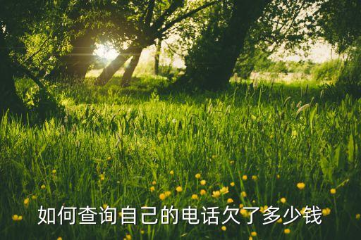 如何查询自己的电话欠了多少钱