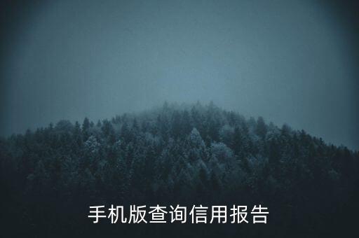 手机版查询信用报告