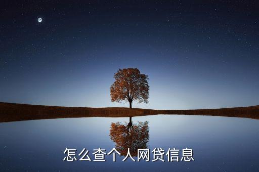 怎么查询自己的网贷记录呢，怎么查我的网贷申请记录