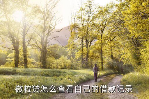 微粒贷怎么查看自己的借款记录