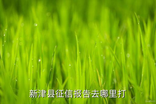 新津县征信报告去哪里打