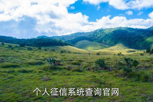 免费查询个人征信官网查询，个人征信系统查询官网