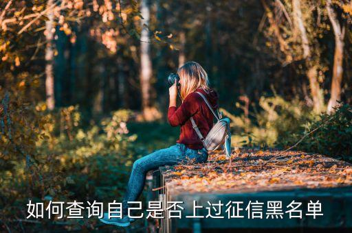 如何查询自己是否上过征信黑名单