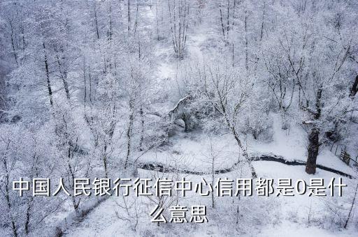 中国人民银行征信中心信用都是0是什么意思