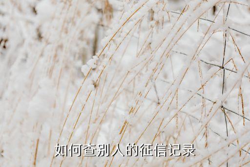 如何查别人的征信记录