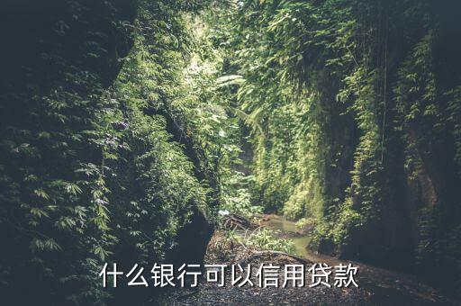 什么银行可以信用贷款