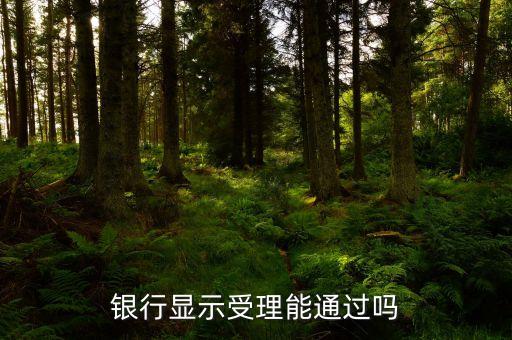 银行显示受理能通过吗