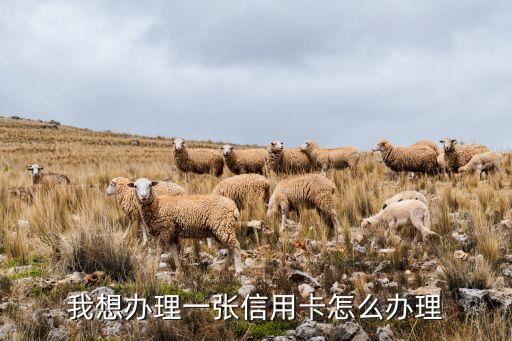 我想办理一张信用卡怎么办理