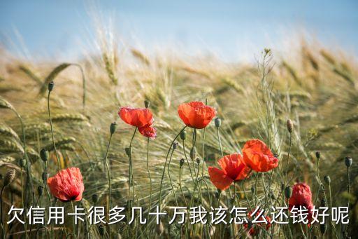 欠信用卡那么多钱要如何还，信用卡欠太多了怎么还