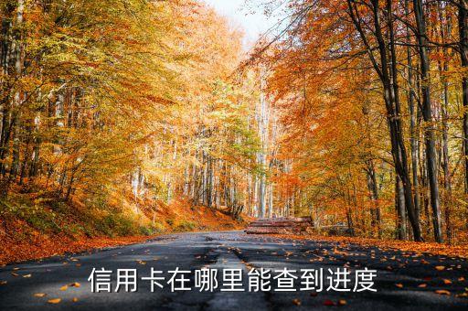 信用卡在哪里能查到进度