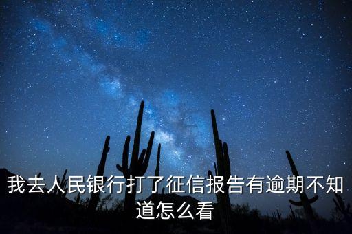 我去人民银行打了征信报告有逾期不知道怎么看