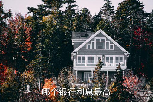 哪个银行利息最高