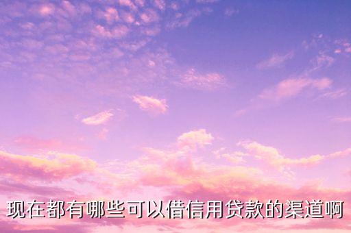 现在都有哪些可以借信用贷款的渠道啊