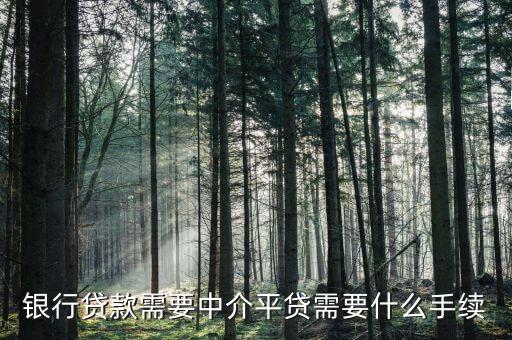 银行贷款需要中介平贷需要什么手续
