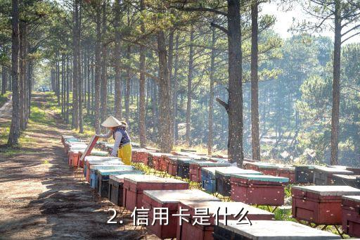 飞机卡是信用卡嘛，飞机卡是信用卡吗？ - 飞机卡和信用卡有何区别？
