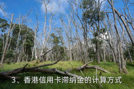 香港信用卡怎么计费，香港信用卡的计费方式是怎样的？