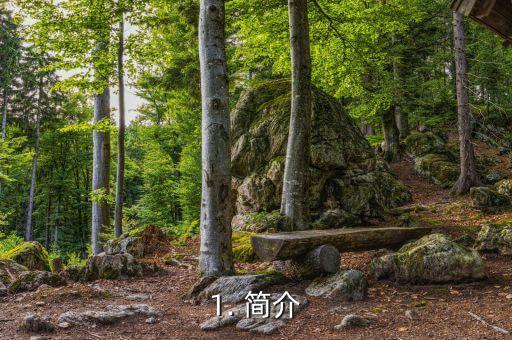 龙卡信用卡三湘版，龙卡信用卡三湘地区推出新版
