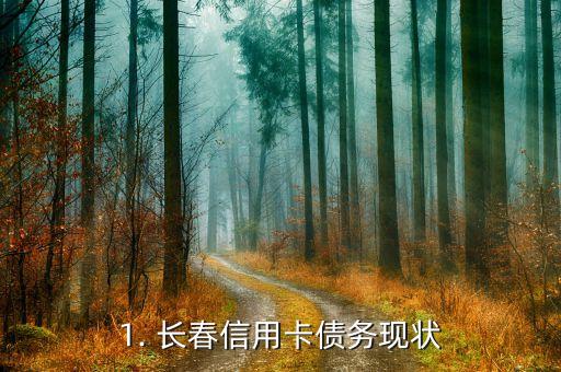 1. 长春信用卡债务现状