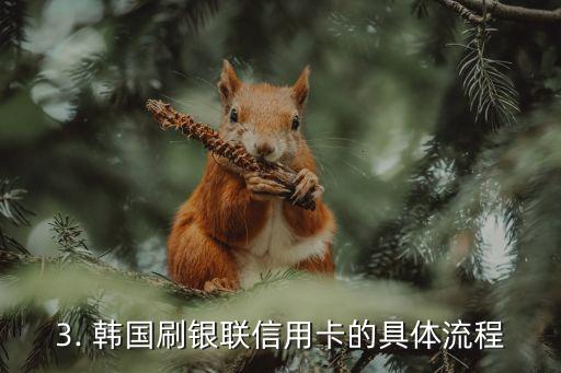 韩国刷银联信用卡，韩国使用银联信用卡刷卡规则