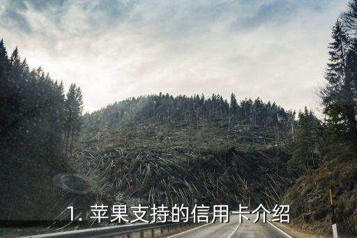 1. 苹果支持的信用卡介绍
