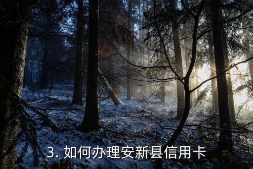 安新县信用卡，安新县信用卡：畅享便捷支付的新选择