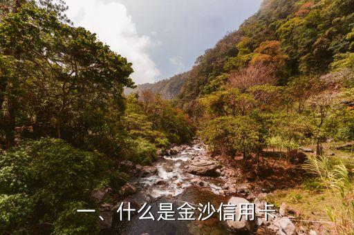 一、什么是金沙信用卡