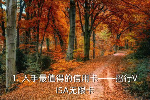 1. 入手最值得的信用卡——招行VISA无限卡