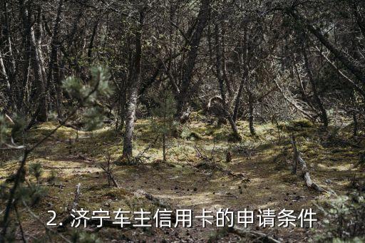 济宁车主信用卡，济宁车主抢手信用卡