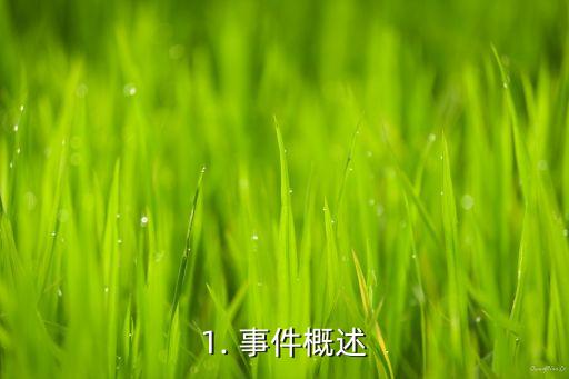 1. 事件概述