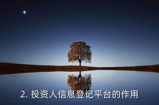 非法集资案件投资人信息登记平台，非法集资案件投资人信息登记平台——新标题：投资人信息登记平台上线