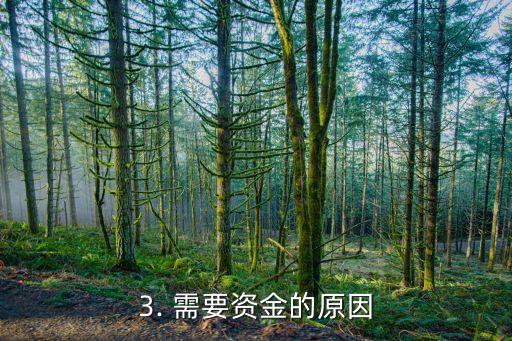 小伙信用卡贷款视频，小伙用信用卡申请贷款，成功获得资金