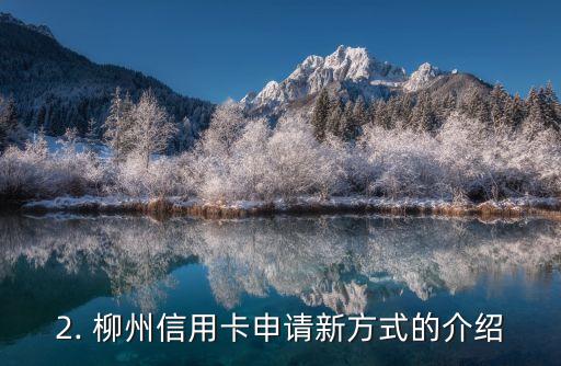 柳州信用卡申请，柳州市信用卡申请的新方式