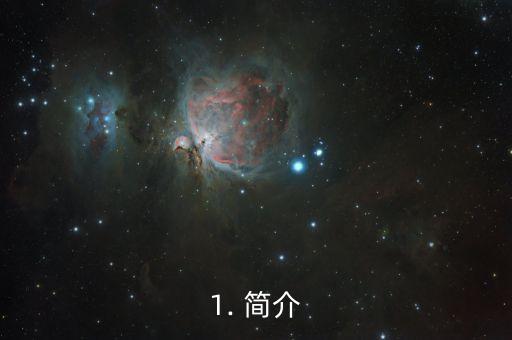 1. 简介