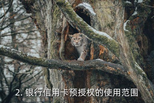 银行信用卡预授权，银行信用卡预先授权的新标题：信用卡预授权功能详解