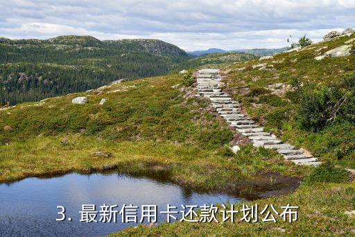 近期信用卡还款计划，最新信用卡还款计划公布
