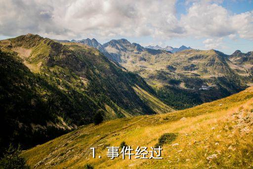 1. 事件经过
