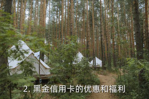 黑金信用卡有哪些，黑金信用卡的优惠和福利有哪些？
