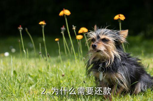 虚拟信用卡怎么还款，虚拟信用卡如何进行还款处理？