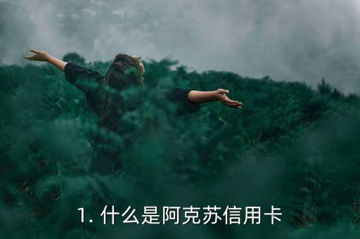 1. 什么是阿克苏信用卡