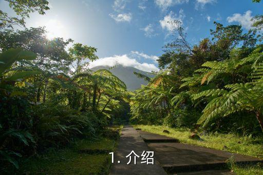 1. 介绍