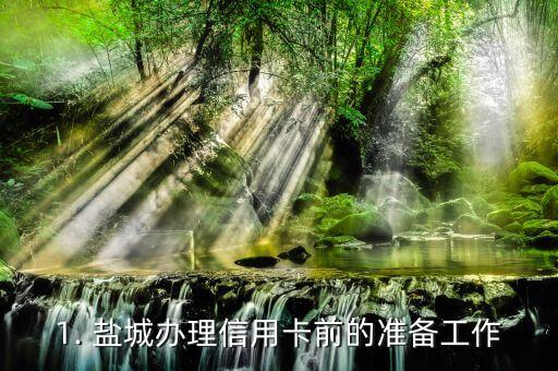 1. 盐城办理信用卡前的准备工作