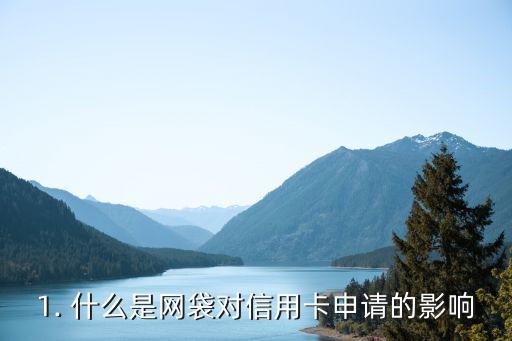 1. 什么是网袋对信用卡申请的影响
