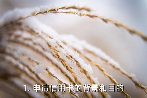 1. 申请信用卡的背景和目的