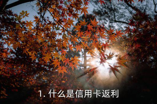 1. 什么是信用卡返利