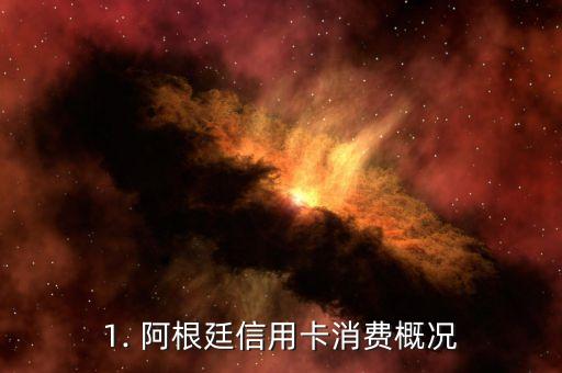 1. 阿根廷信用卡消费概况